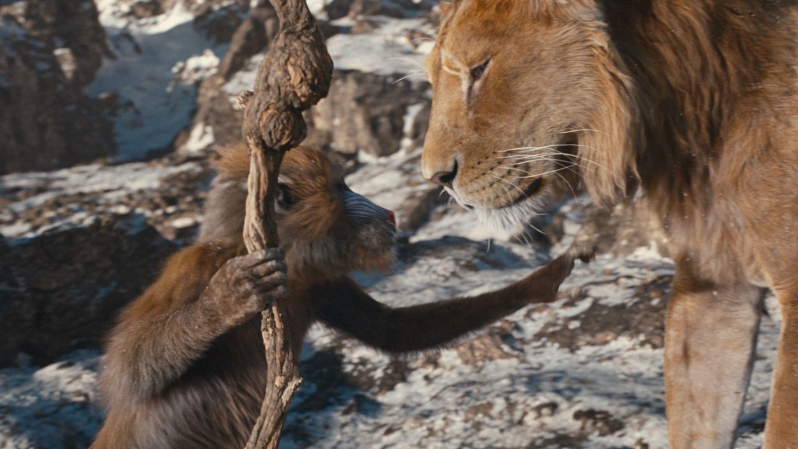 Mufasa - Der König der Löwen  (DVD)