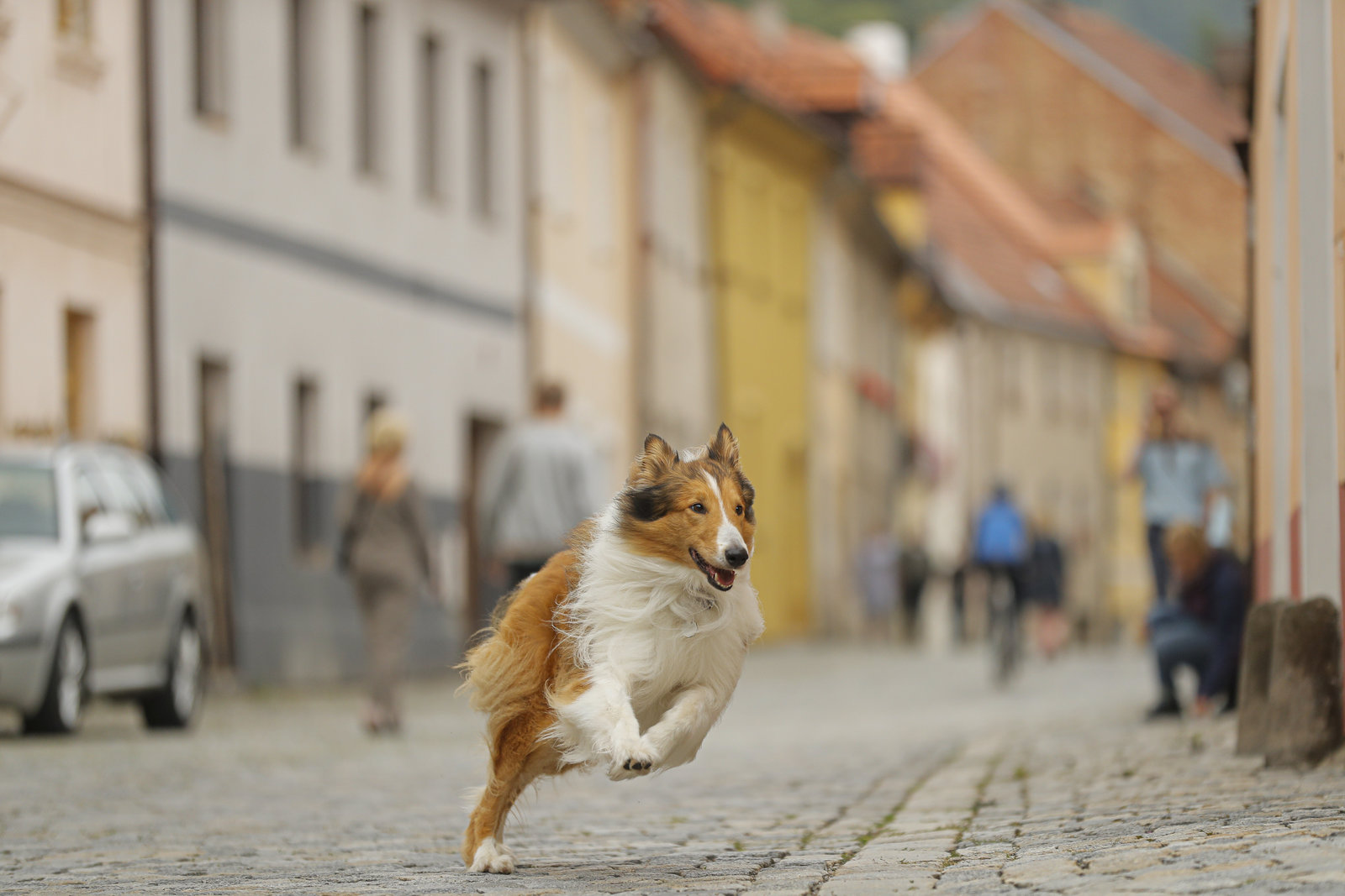 Lassie - Eine abenteuerliche Reise (blu-ray)