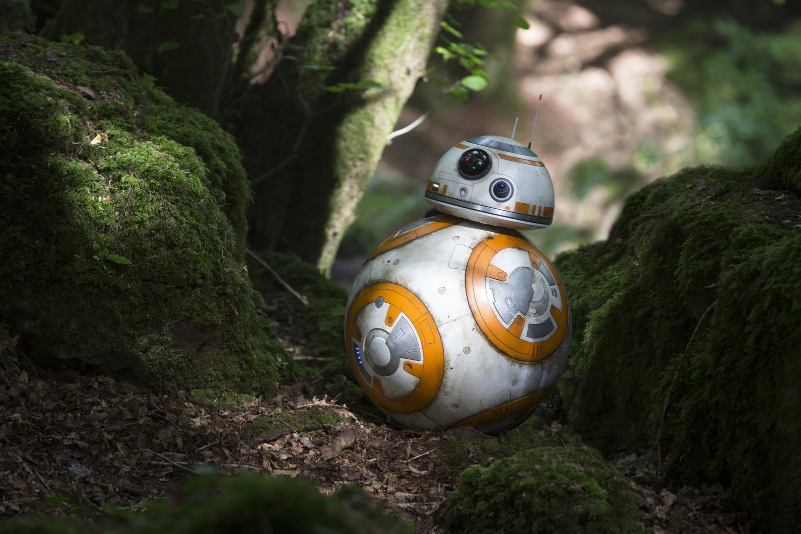 Star Wars Episode 7 - Das Erwachen der Macht (4K Ultra HD)