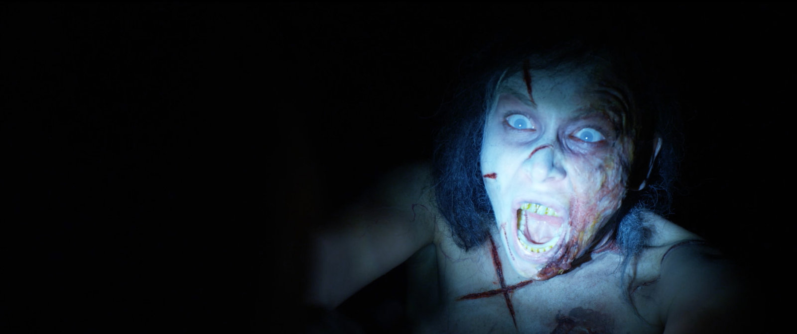 Night of Horror, A (blu-ray)