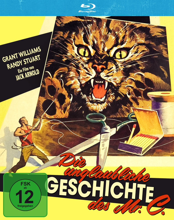 Unglaubliche Geschichte des Mr. C (blu-ray)