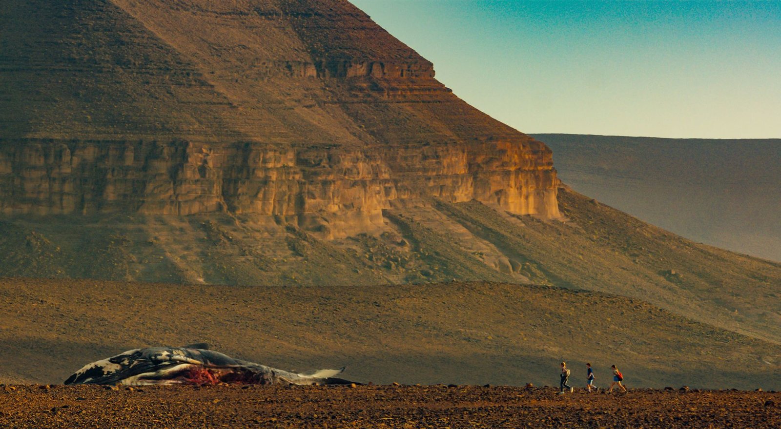 Survive - Gestrandet im Ozean  (Blu-ray Disc)