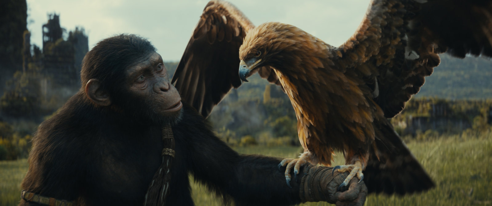 Planet der Affen - New Kingdom  (4K Ultra HD) (+ Blu-ray)  Planet der Affen - New Kingdom  (4K Ultra HD) (+ Blu-ray)