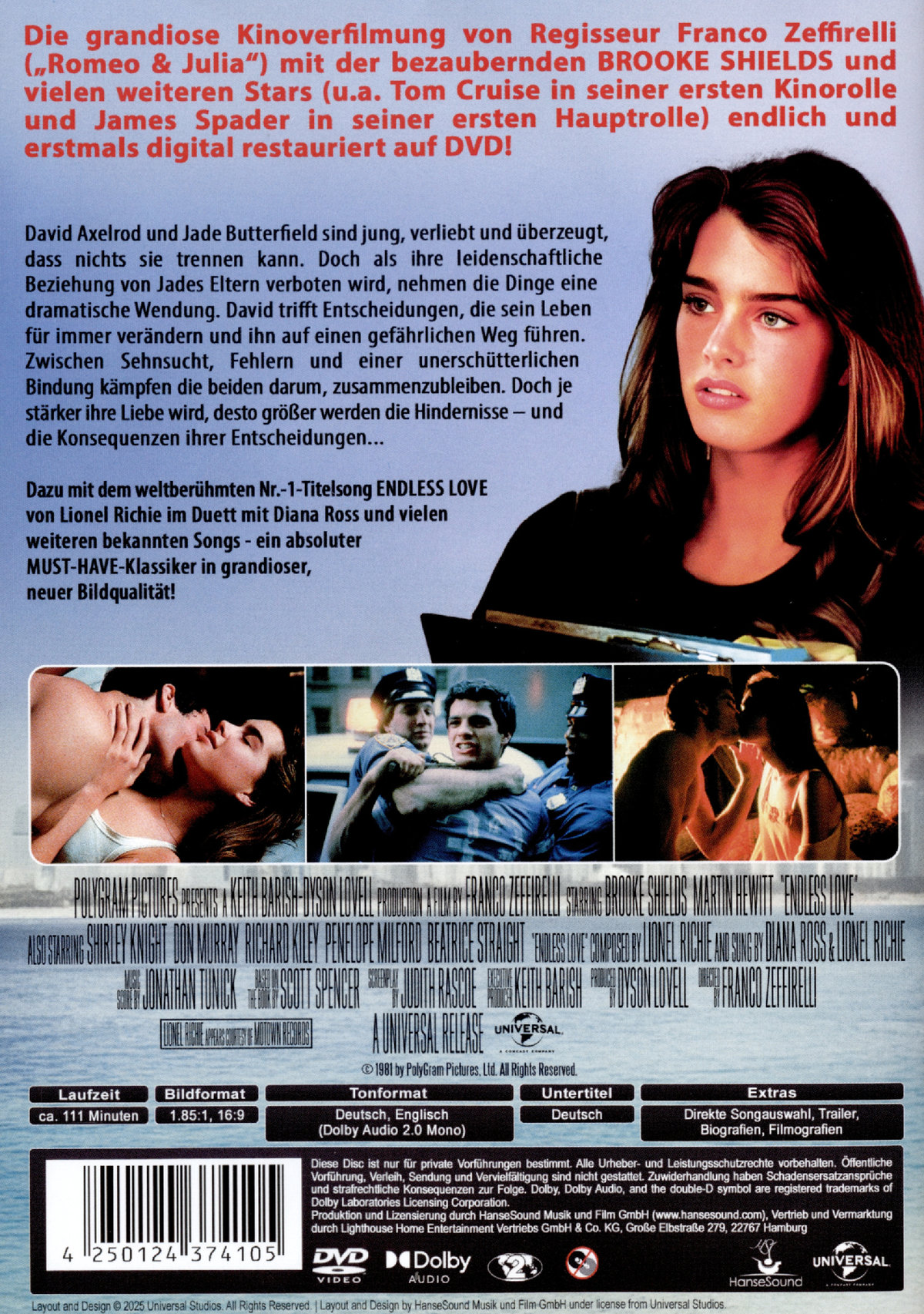 Endless Love  (DVD)