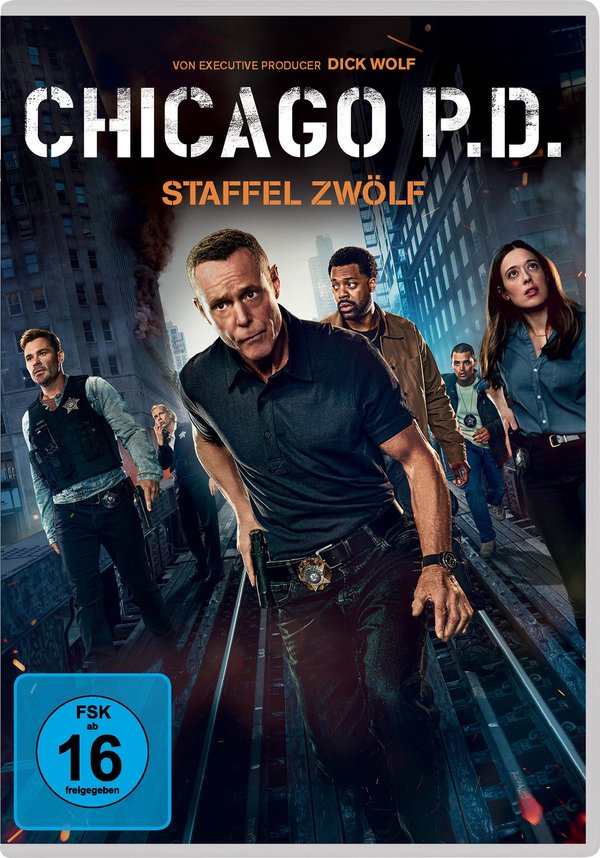Chicago P.D.: Staffel 12  [5 DVDs]  (DVD)