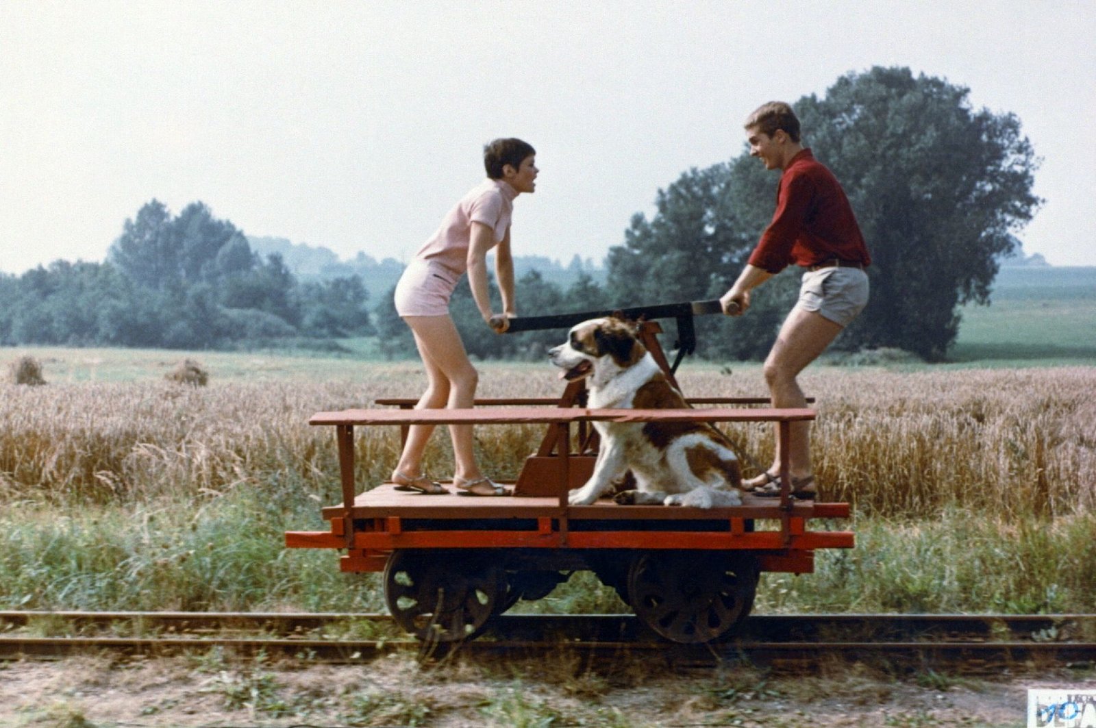 Heißer Sommer (DEFA Filmjuwelen)  (DVD)