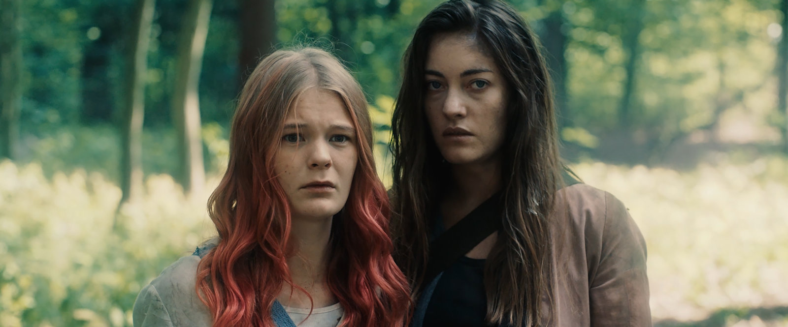 Endzeit - Die Zombieabokalypse (blu-ray)