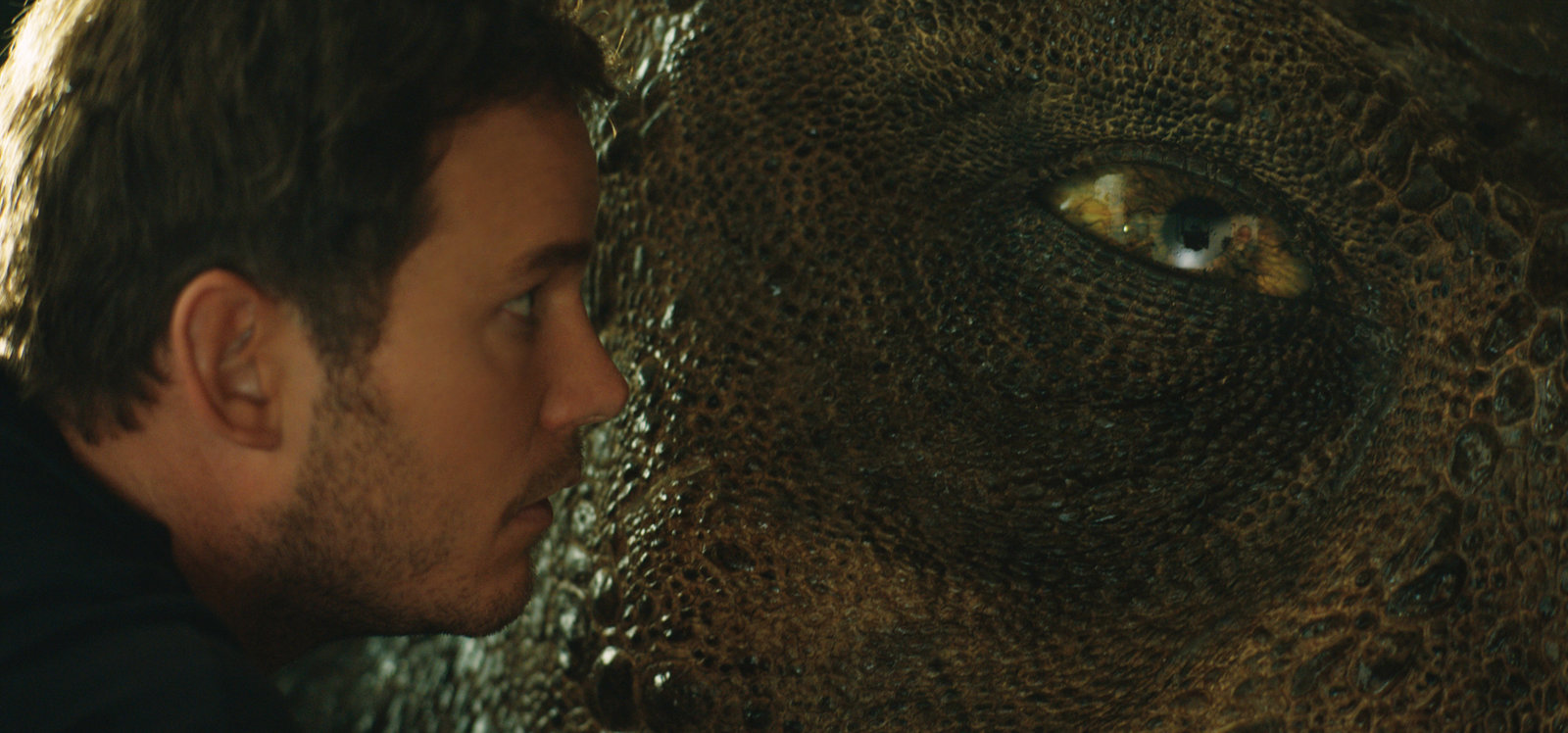 Jurassic World: Das gefallene Königreich 3D (3D blu-ray)