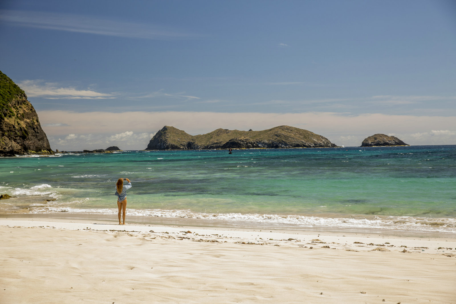 Shallows, The - Gefahr aus der Tiefe (blu-ray)