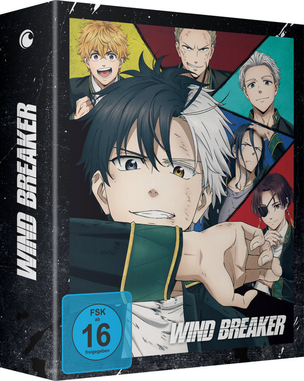Wind Breaker - Staffel 1 - Vol.1 mit Sammelschuber  (DVD)