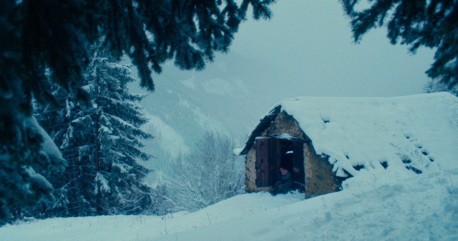 Vermiglio  (DVD)
