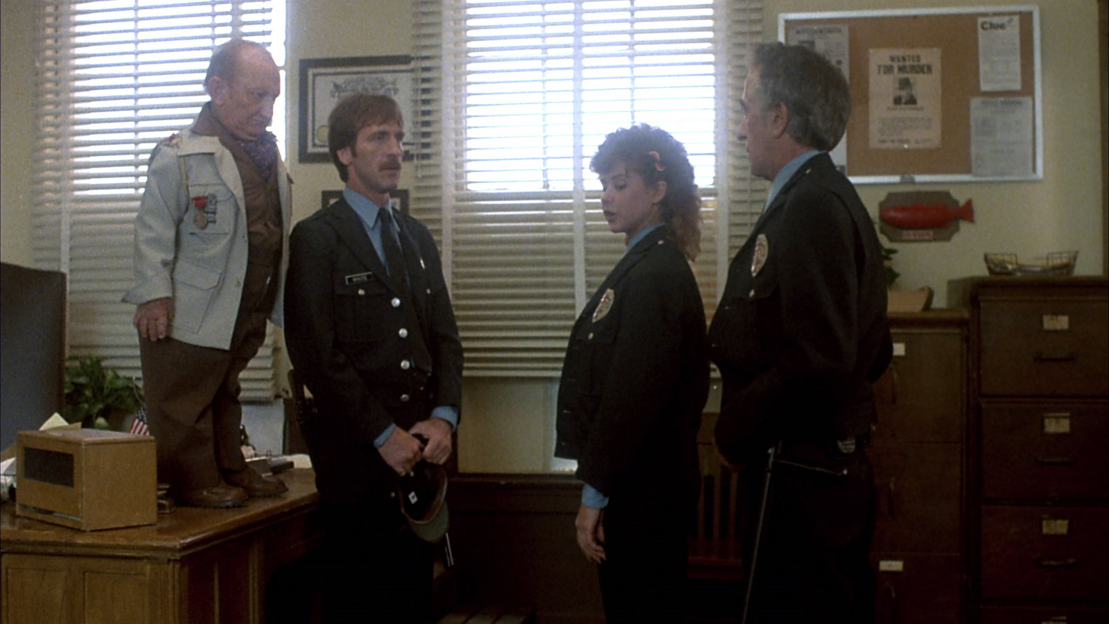 Police Patrol  (DVD)
