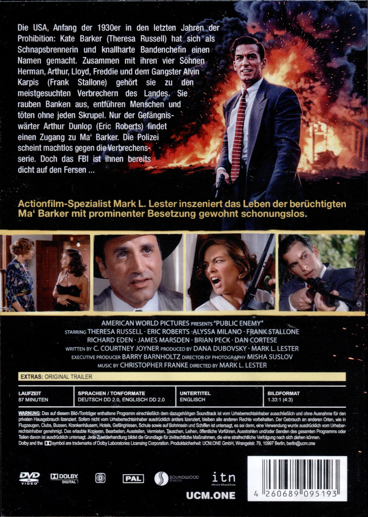 Public Enemy  (DVD)