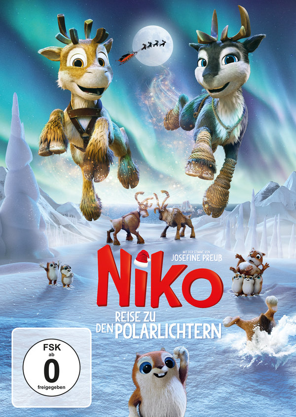 Niko 3 - Reise zu den Polarlichtern  (DVD)