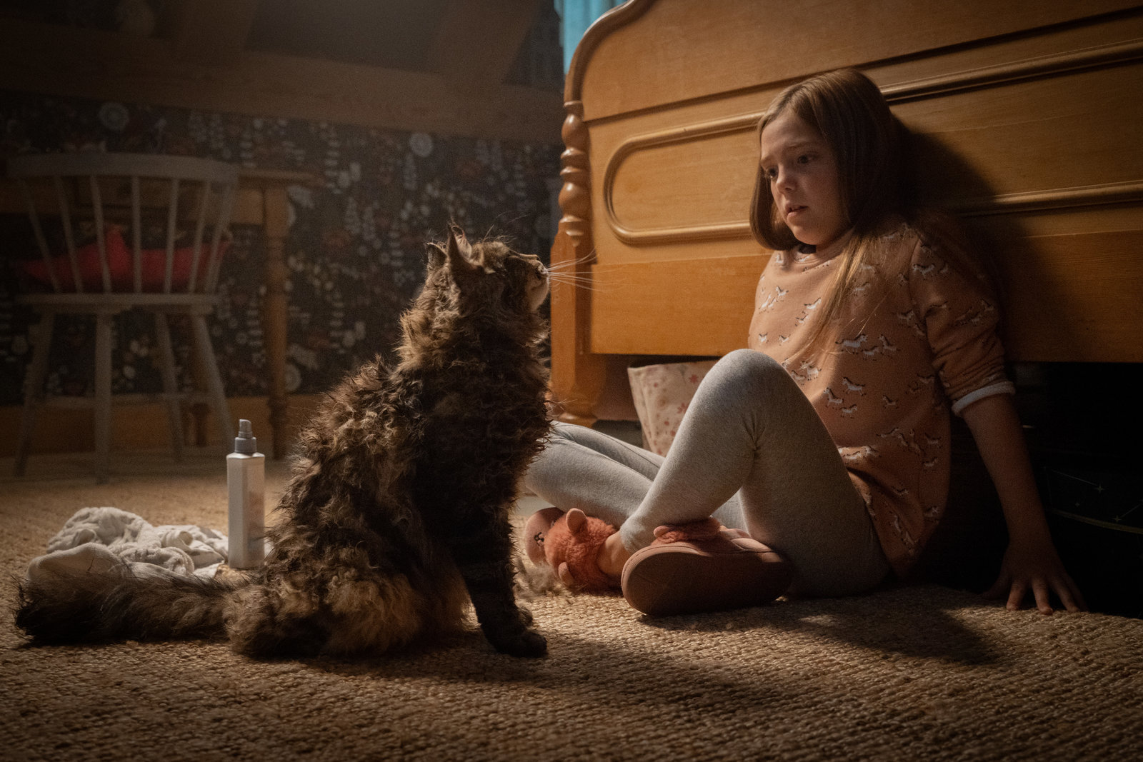 Friedhof der Kuscheltiere (2019)