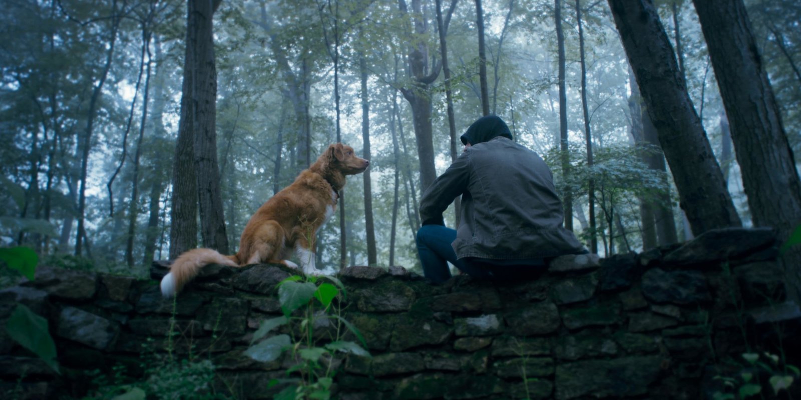 Good Boy - Trust his instincts  (DVD)