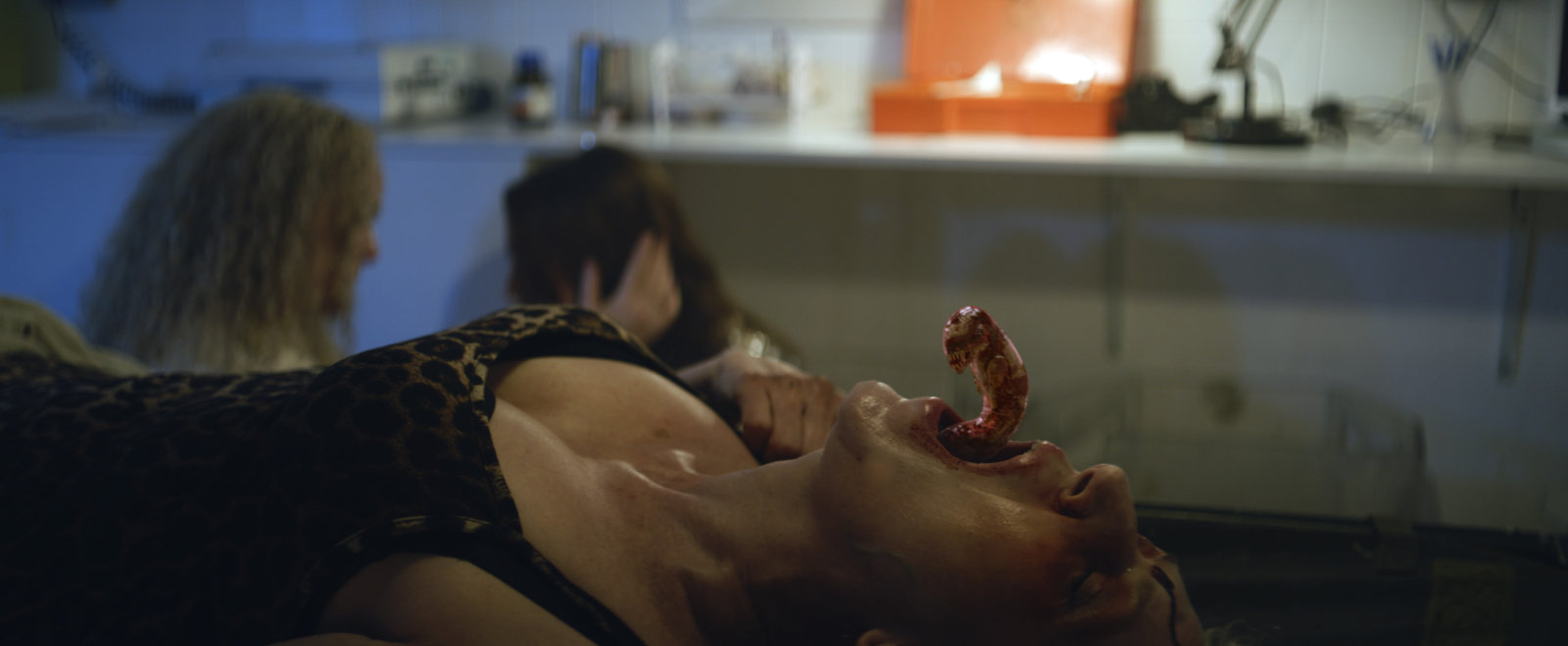 Area 51 - Das Alien-Portal  (DVD)