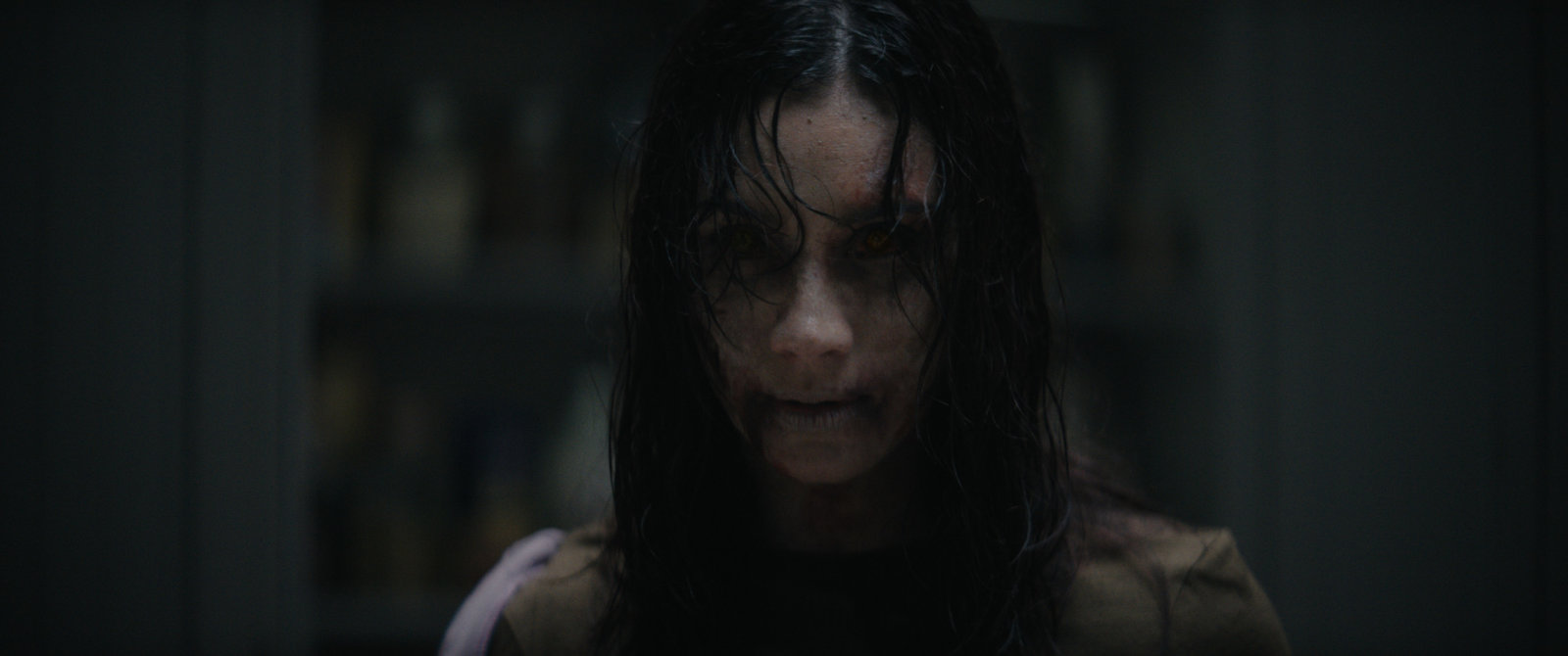 Evil Dead Burn - Uncut Edition  (DVD)