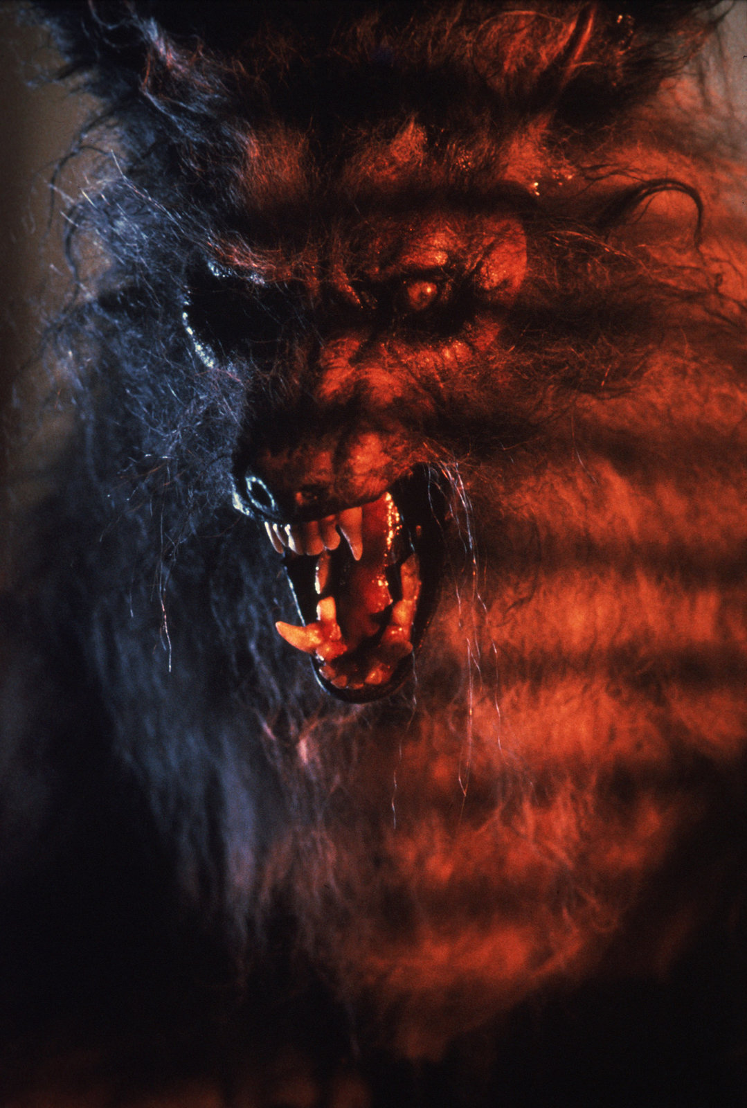 Howling, The - Das Tier (blu-ray)