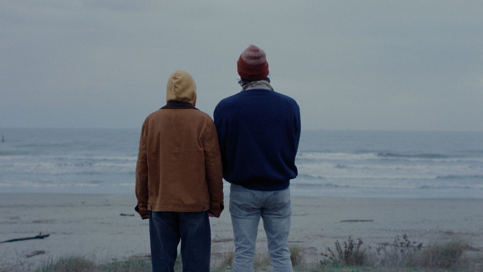 Paternal Leave - Drei Tage am Meer  (DVD)