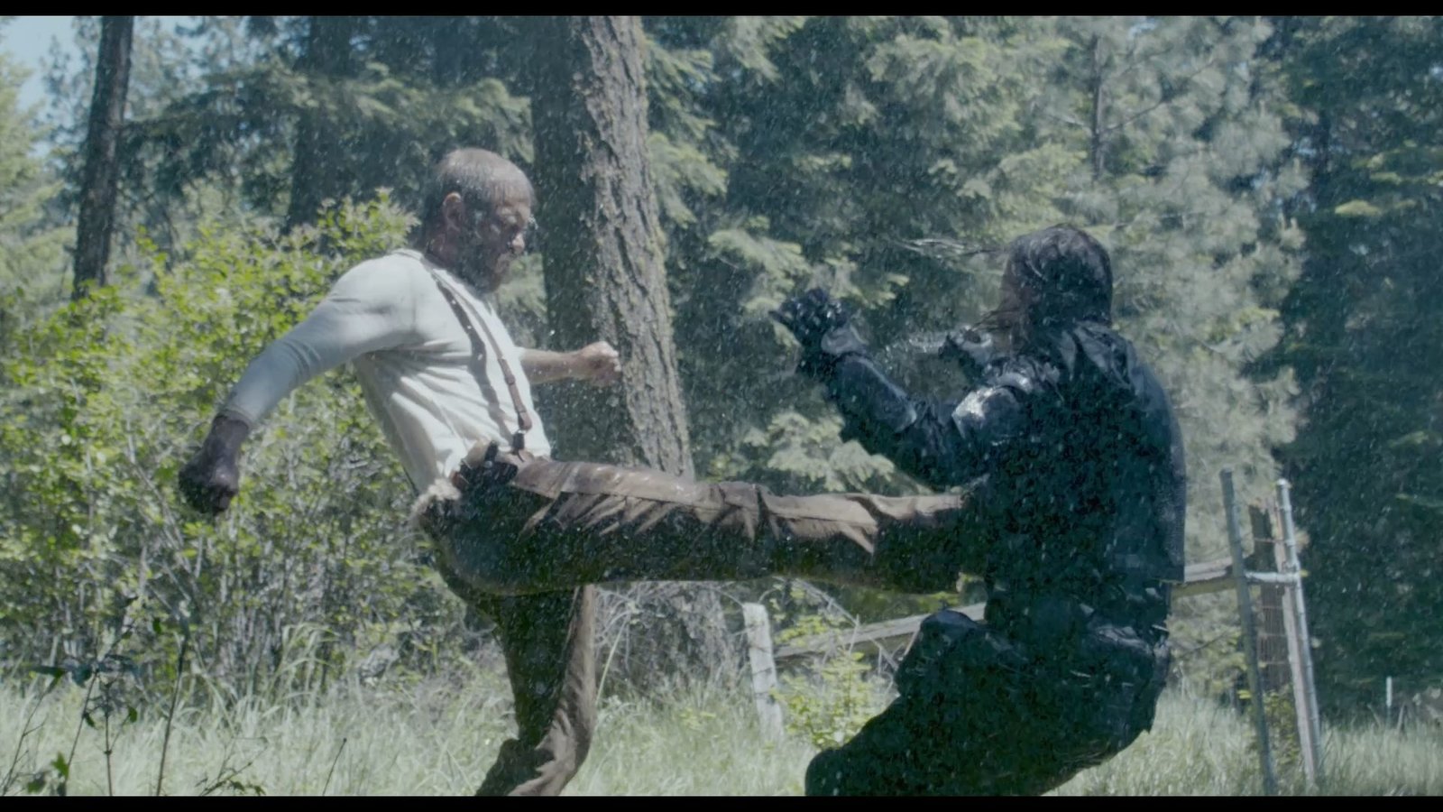 Battleground - Der letzte Widerstand  (DVD)