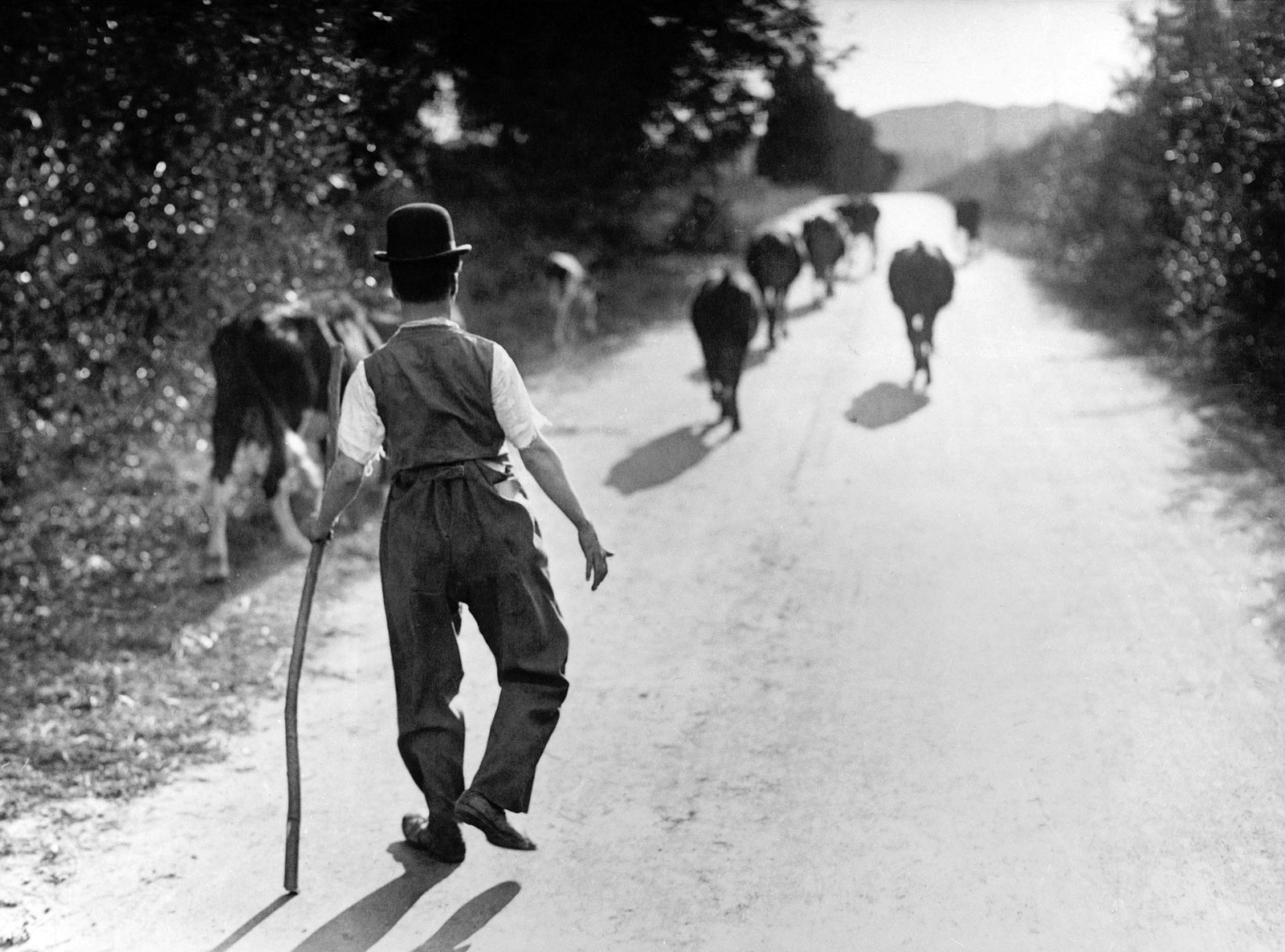 Charlie Chaplin - Frühe Meisterwerke 2  (DVD)