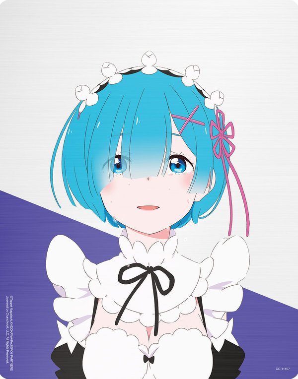 Re:ZERO - Starting Life in Another World - Staffel 1 - Gesamtausgabe - Steelbook - Director´s Cut - Limited Edition  [4 BRs]  (Blu-ray Disc)