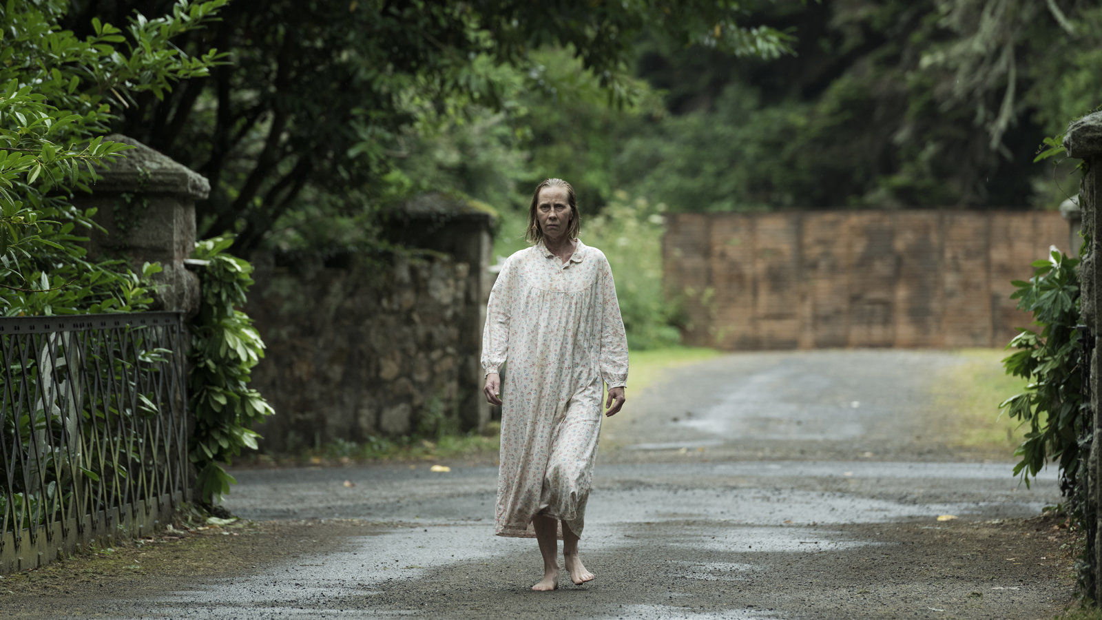 Hole in the Ground, The (blu-ray)