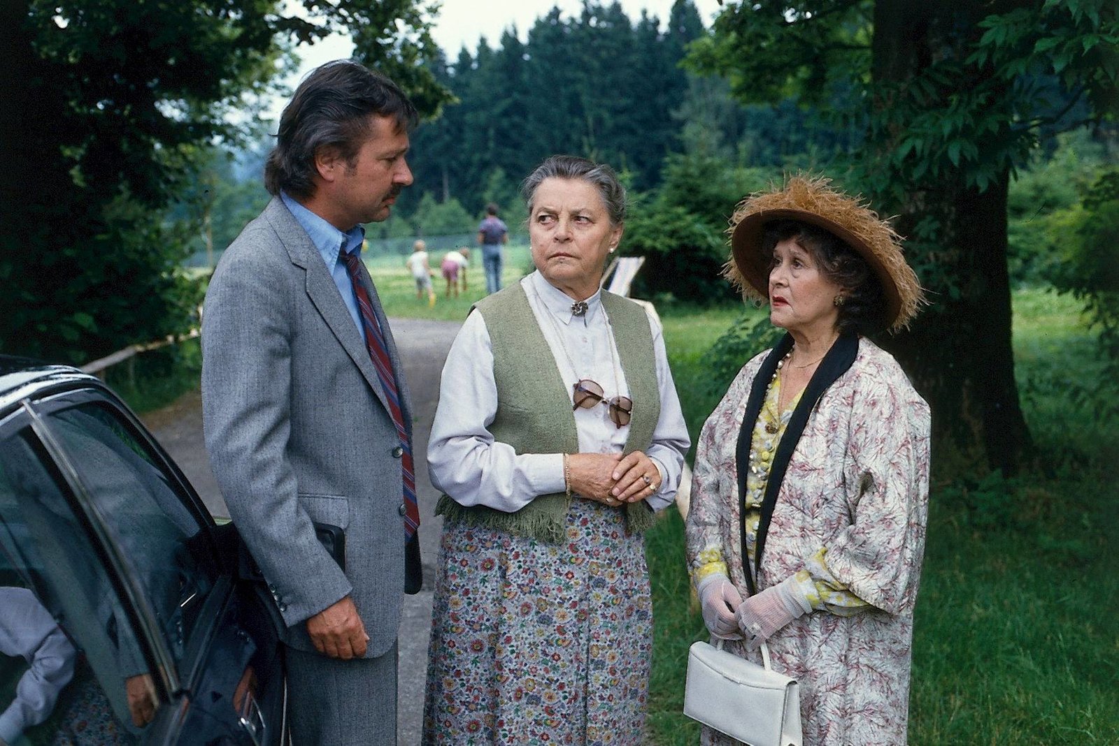 Waldhaus - Die komplette ZDF-Serie in 19 Teilen (Fernsehjuwelen)  [8 DVDs]  (DVD)