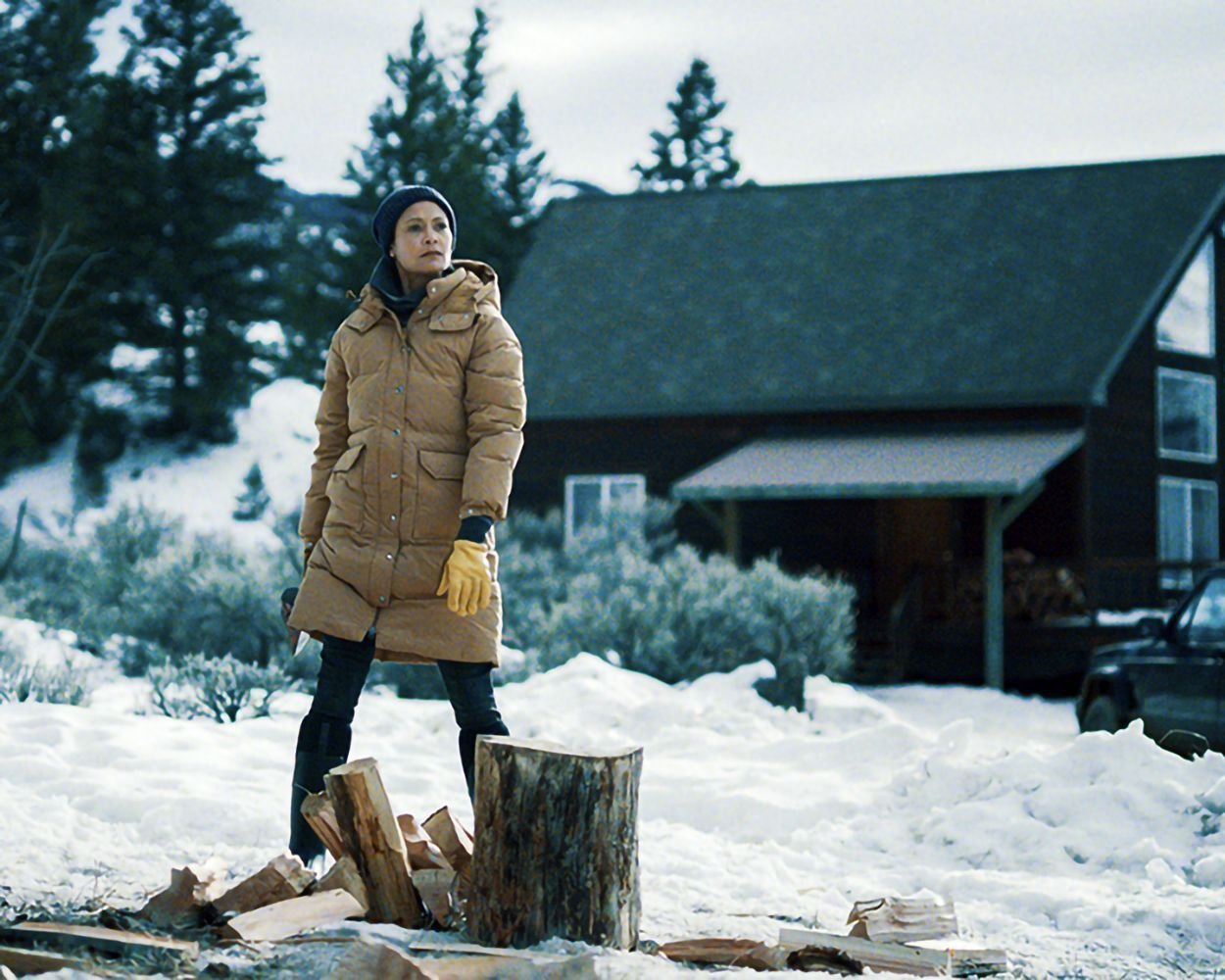 God's Country / Preisgekrönter packender Thriller mit den Stars aus „Yellowstone“ und „Westworld“  (DVD)