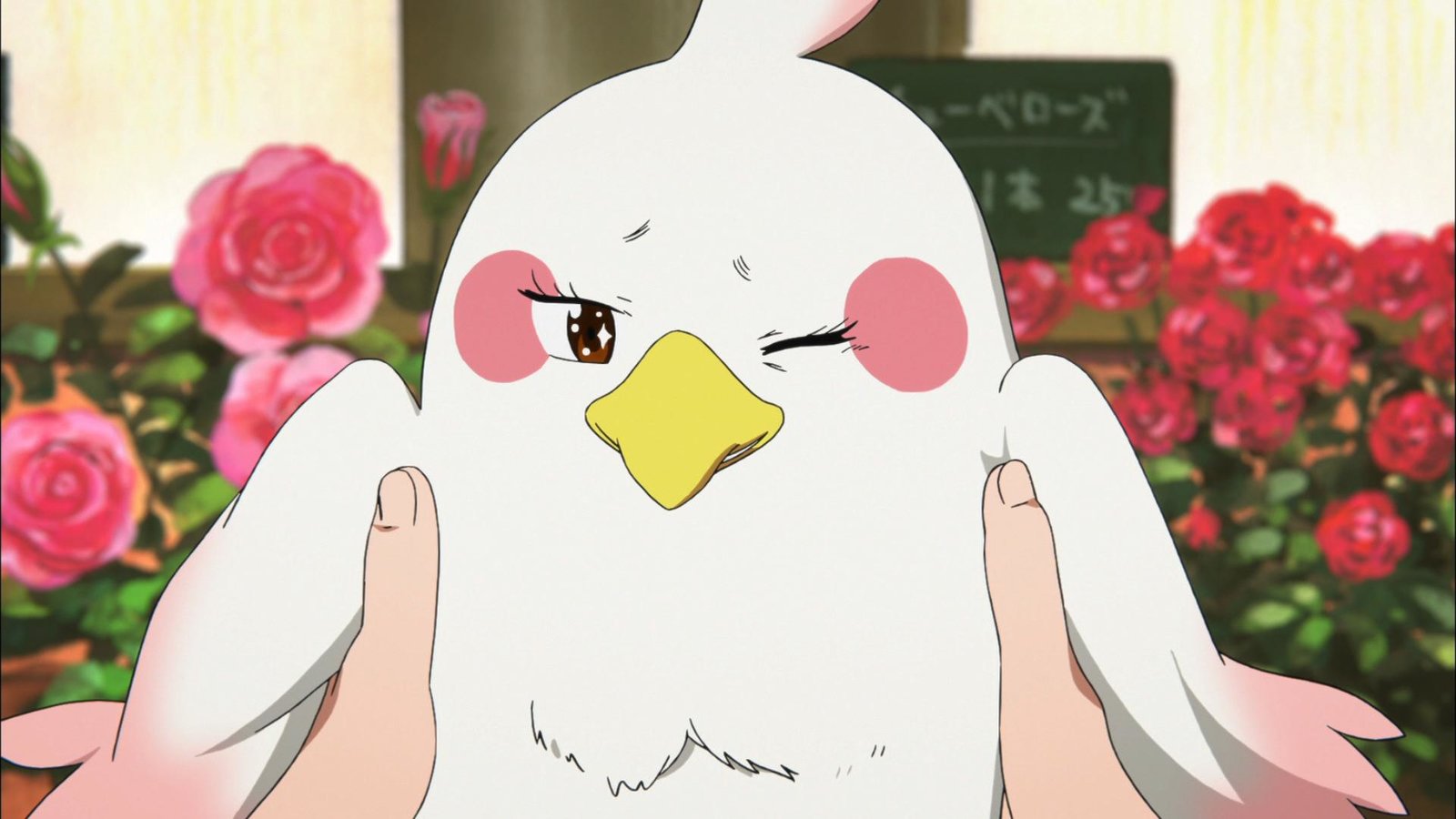 Tamako Market / Tamako Love Story - Die komplette Serie plus Film LTD.  (Blu-ray Disc)