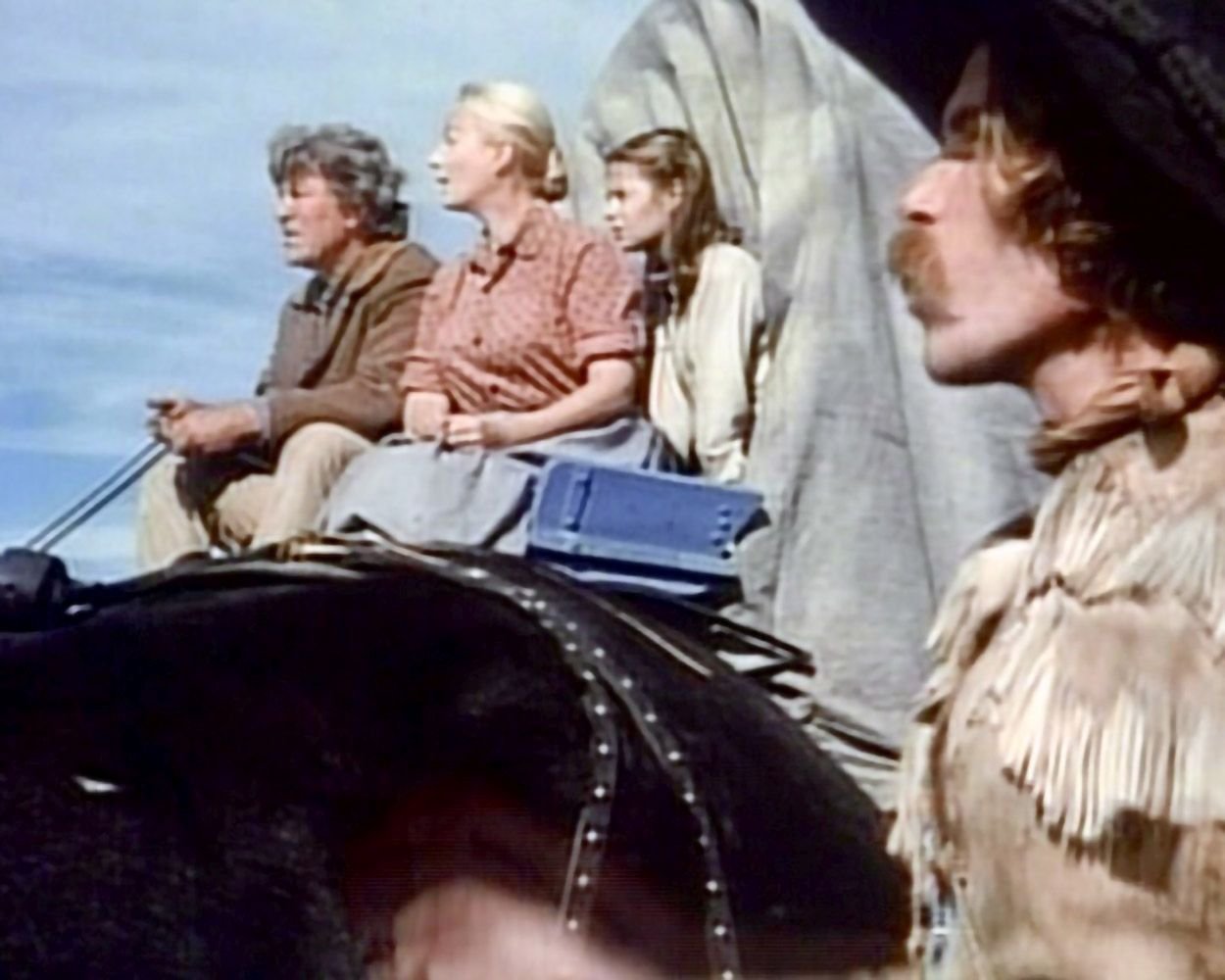 Der lange Treck (The Chisholms) - Remastered Edition / Die komplette 16-teilige Kult-Westernserie (Pidax Western-Klassiker) [3 DVDs]  (DVD)