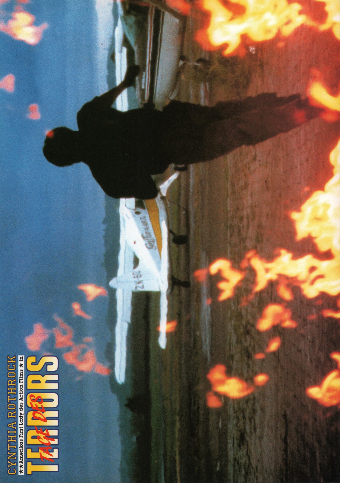 Tage des Terrors  (DVD)