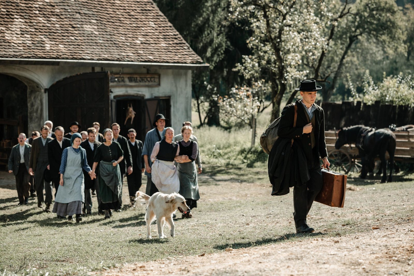 Der Club der singenden Metzger  (DVD)