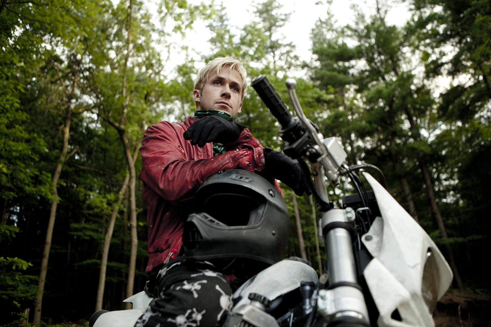 Place Beyond the Pines, The (blu-ray)