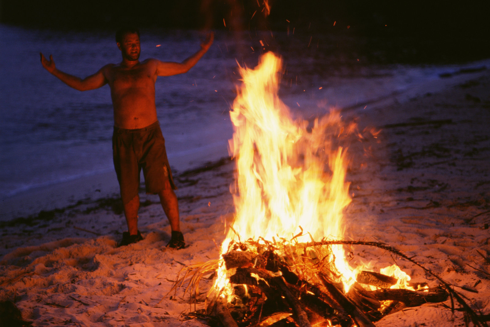 Cast Away - Verschollen  (DVD)