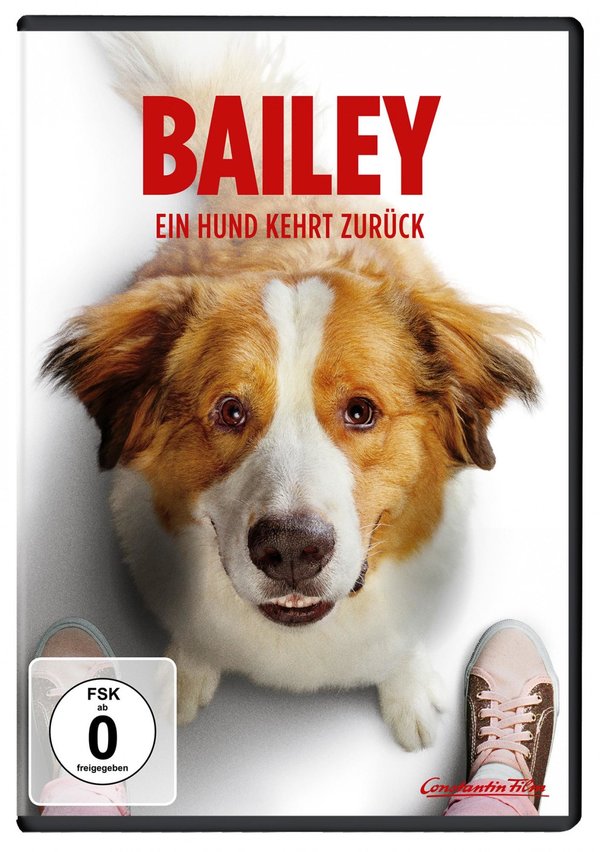 Bailey - Ein Hund kehrt zurück  (DVD)