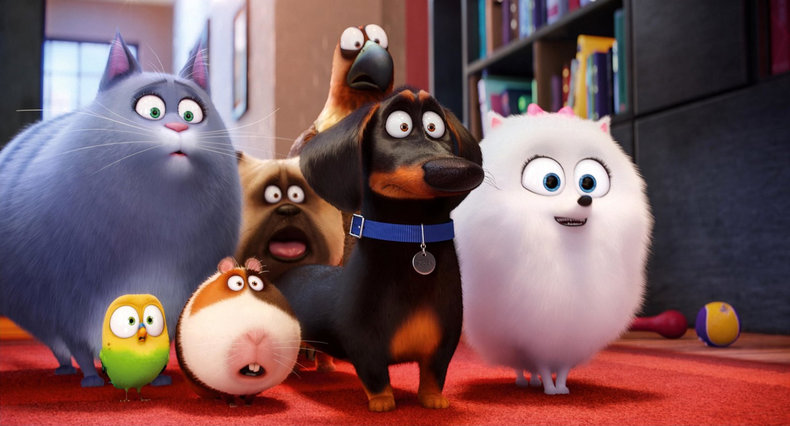 Pets (Illumination)  (Blu-ray Disc)