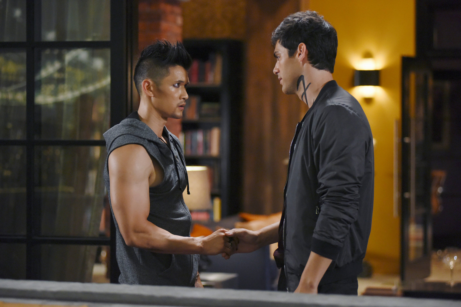 Shadowhunters - Staffel 2  [5 DVDs]  (DVD)