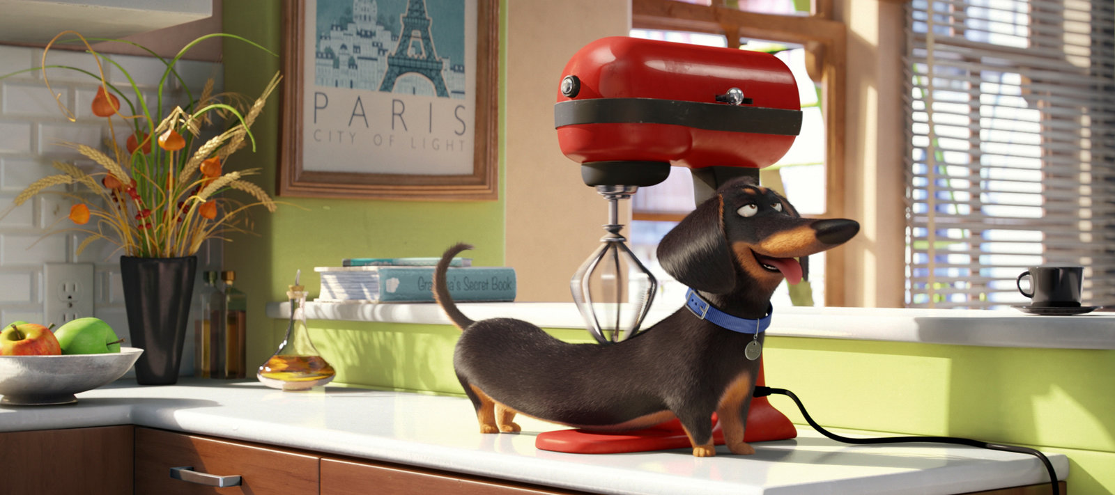 Pets (Illumination)  (Blu-ray Disc)
