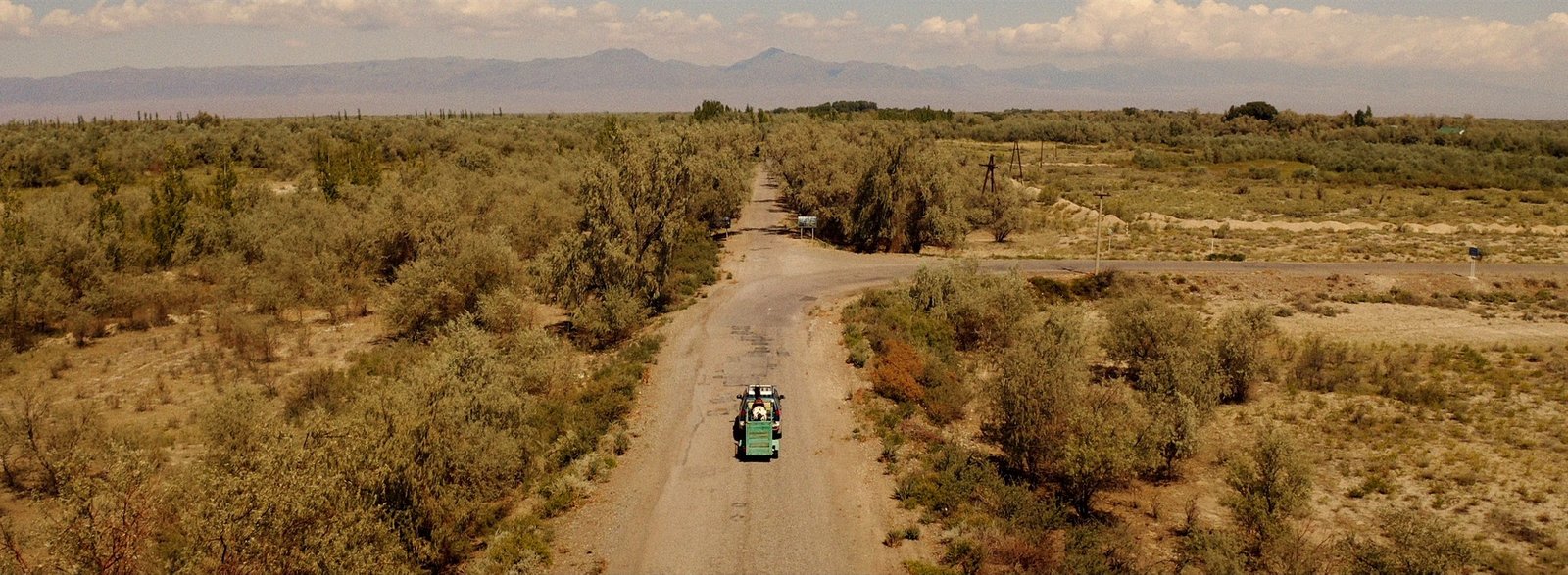 Sweetie, you wont believe it - Uncut Edition