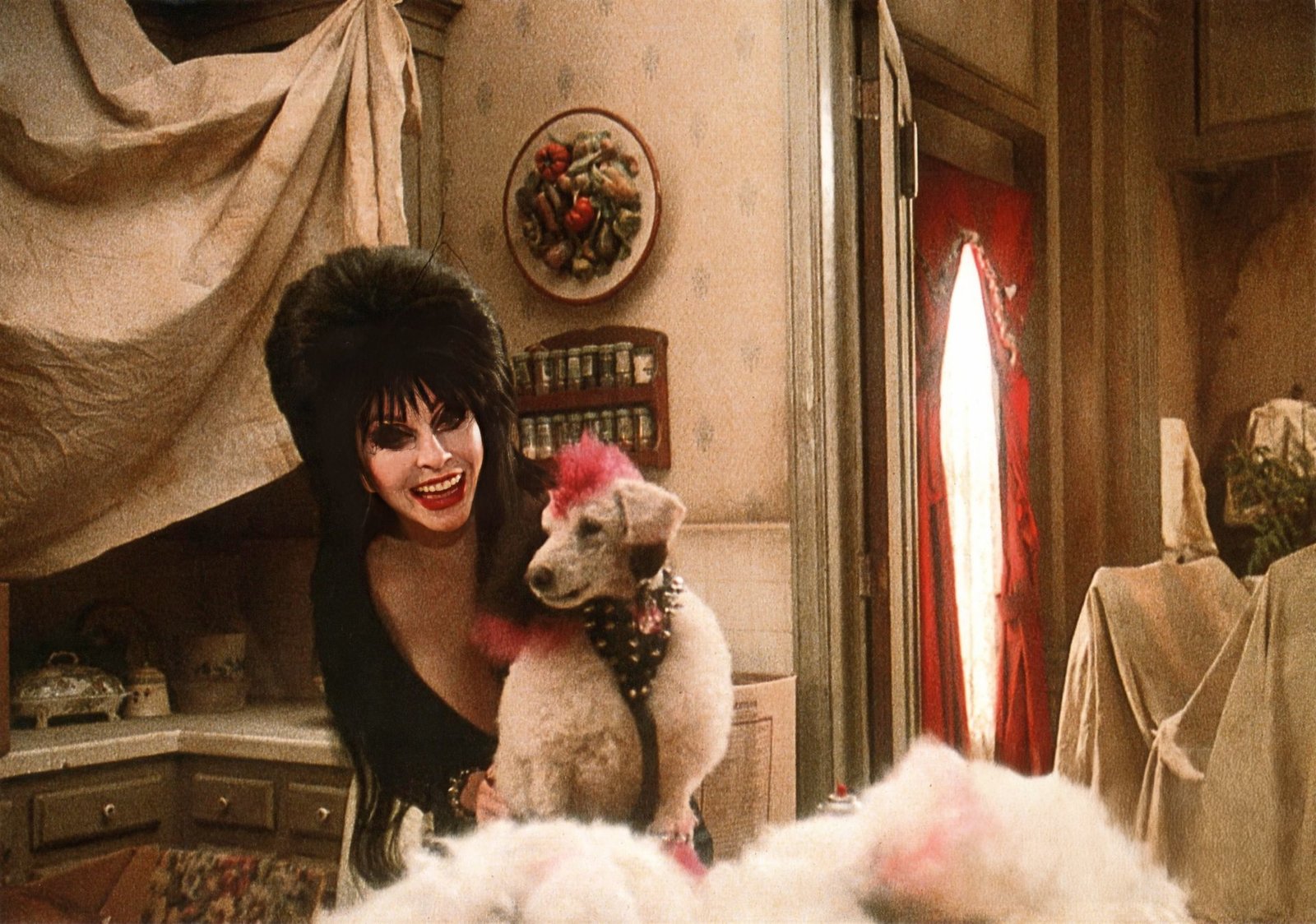 Elvira - Herrscherin der Dunkelheit (inkl. Elvira's Haunted Hills)  [2 BRs]  (Blu-ray Disc)