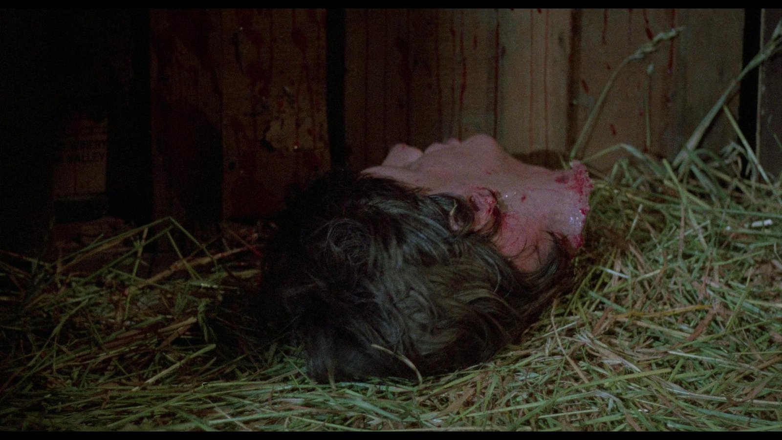 Vineyard, The (blu-ray)