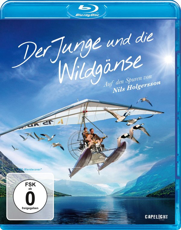 Junge und die Wildgänse, Der