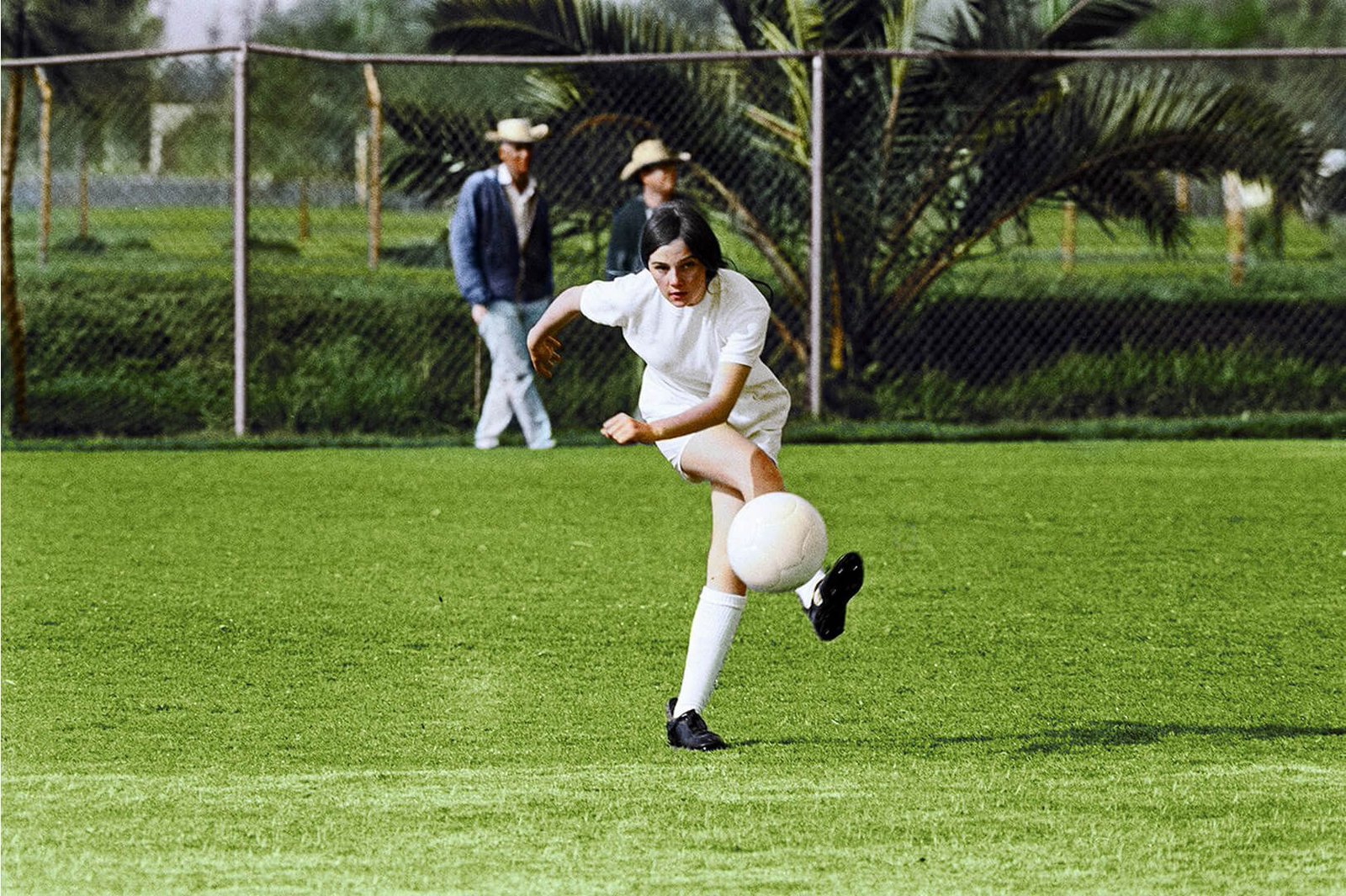 Copa 71  (DVD)