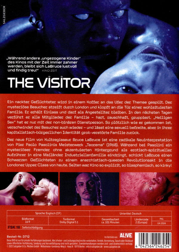 The Visitor (OmU)  (DVD)