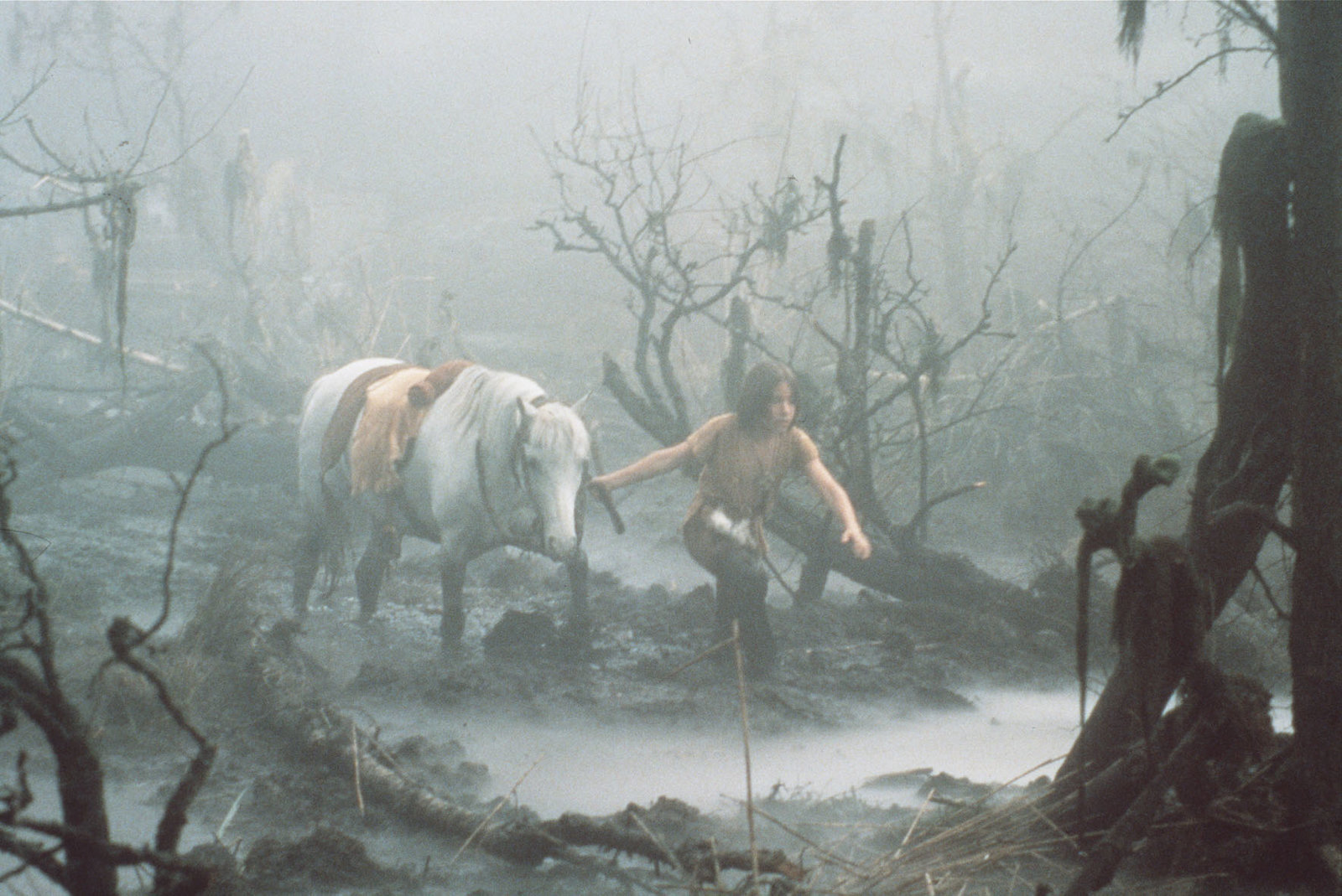 Die unendliche Geschichte 1  (DVD)