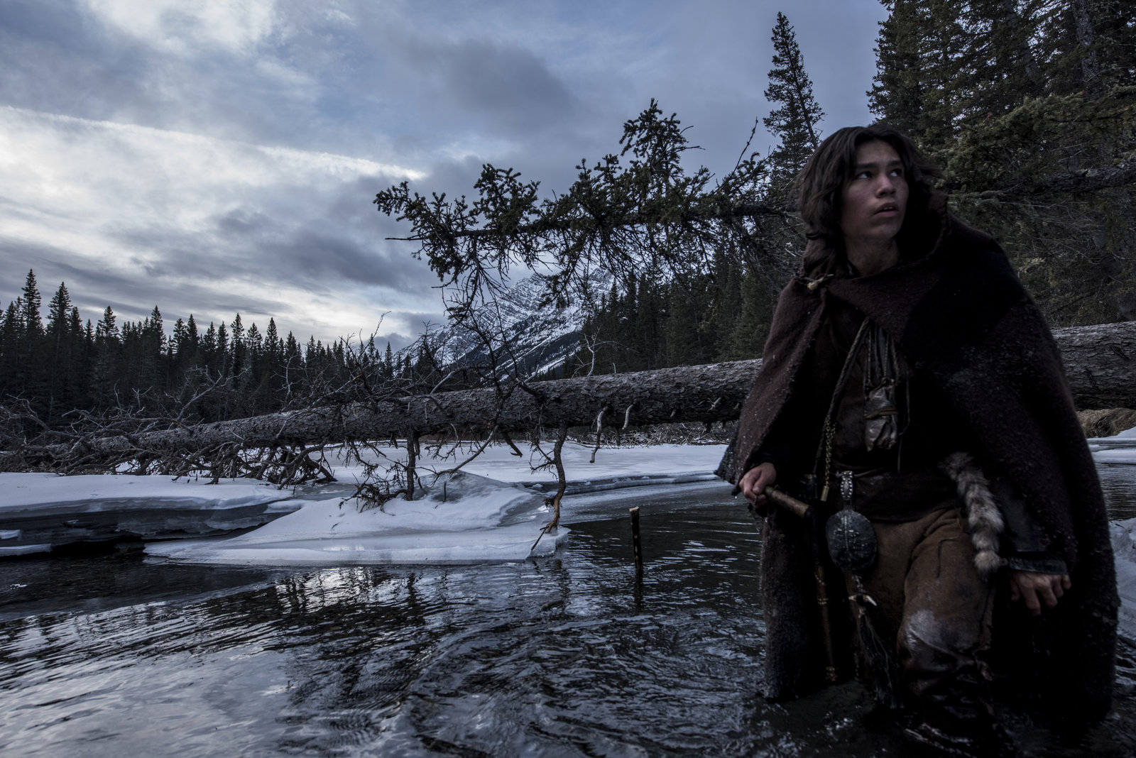 Revenant, The - Der Rückkehrer (blu-ray)