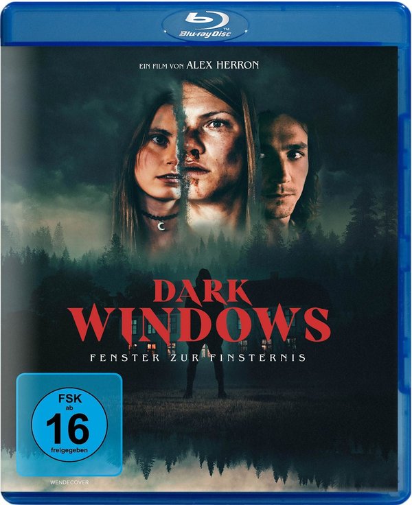 Dark Windows - Fenster zur Finsternis  (Blu-ray Disc)