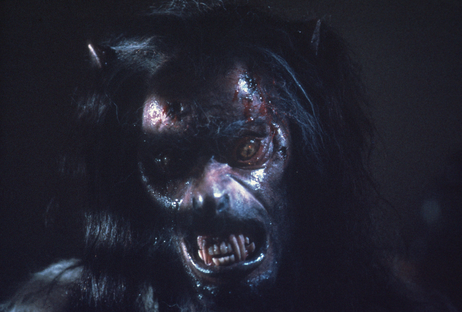 Howling, The - Das Tier Howling, The - Das Tier